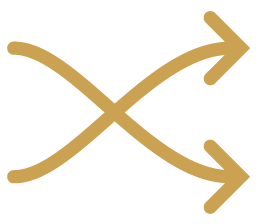 Switch icon 